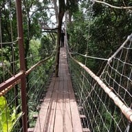 บรรยากาศ Tree Bridge Coffee