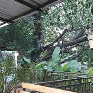 ครัวสมพร