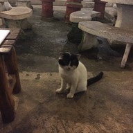 เชิงทะเลกุ้งกระทะ