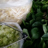 เดือนร่มไทร ไก่มะระ ปากเกร็ด