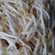 เดือนร่มไทร ไก่มะระ ปากเกร็ด