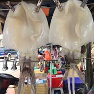 ป้าจู ปลาหมึกแดดเดียว