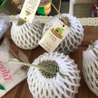 บรรยากาศ A Melon Factory