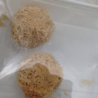เมนูของร้าน โชคดีติ่มซำ พิษณุโลก