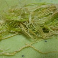 เมนูของร้าน โรตีสายไหม ครูนุสรา