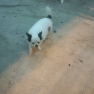 บ้านแม่แอนข้าวต้มปลา อาหารซีฟู๊ด