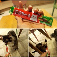 Cat Up Cafe The UP Rama 3