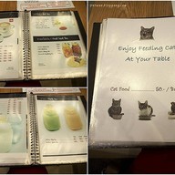 Cat Up Cafe The UP Rama 3
