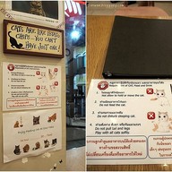 Cat Up Cafe The UP Rama 3