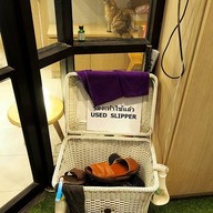 Cat Up Cafe The UP Rama 3