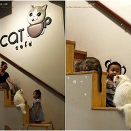 Cat Up Cafe The UP Rama 3