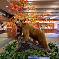 Hotel Taisetsu Sounkyo