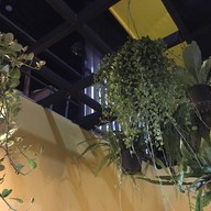 Mango Cafe สาขา 2 Tree Town