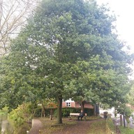 The Plough Inn, Eynsford