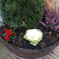 The Plough Inn, Eynsford