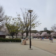 Park Side Cafe Ueno park