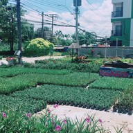 ก๋วยเตี๋ยวเรือตั้งหลัก หน้าโรงเรียนวรรัตน์ศึกษา(นนทบุรี)