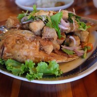 เมนูของร้าน ครัวผักหวานบ้าน ไร่นฤบดินทร์ สาขา 1 แสงชูโต