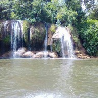 แพกิ่งไผ่