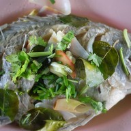 เมนูของร้าน ร้านอาหารฉลองชัยปลาเผา