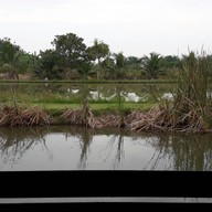 บรรยากาศ แพอาหารเย็นตาโฟใต้