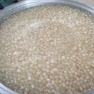 ต้นลาน(ขนมหวานลูกลานน้ำตาลโตนด)