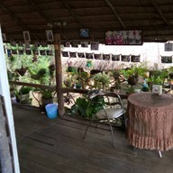ปังปัง ภูมิซรอน