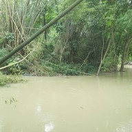 บรรยากาศ ป่าไผ่กาแฟดริป