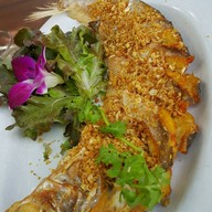 เมนูของร้าน ที่นี่ สถานีเชียงใหม่