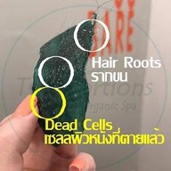 เมนูของร้าน Two Portions Waxing Bangkok