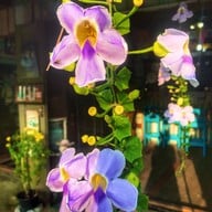 หน้าร้าน มนต์รักคลอง 15