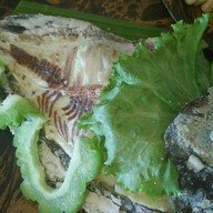 Vip ส้มตำ Club อยุธยา