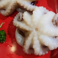 Tudari MAYA Chiangmai