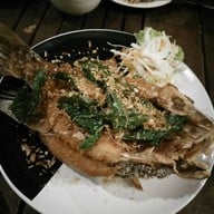 เมนูของร้าน อัลโฟลโล่ สะพานใหม่
