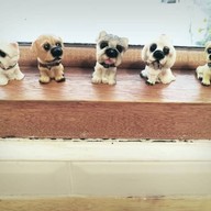 บรรยากาศ Puff&pie พิษณุโลก