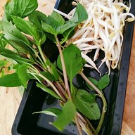 ก๋วยเตี๋ยวเป่าปาก ชามกะลา  สาขากันทรลักษ์