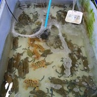 เมนูของร้าน เจ๊ช้อย