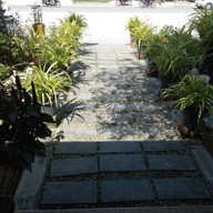 หน้าร้าน เอด้ากาแฟ  สาขาหนองตาบ่ง