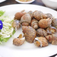 ครัวต้นข้าว