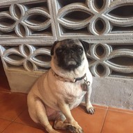 บรรยากาศ Uncle Jeff Kitchen