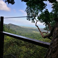 บรรยากาศ Tree Bridge Coffee