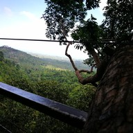 บรรยากาศ Tree Bridge Coffee