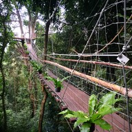 บรรยากาศ Tree Bridge Coffee