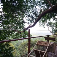 บรรยากาศ Tree Bridge Coffee