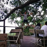 บรรยากาศ Tree Bridge Coffee