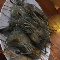 รังมด
