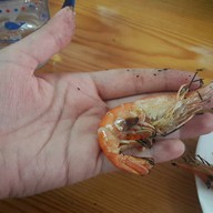 เมนูของร้าน ผ่องพรรณกุ้งเผา ตลาดกลางอยุธยา
