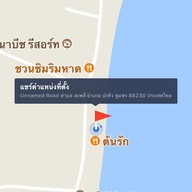 ต้นรักซีฟู้ด