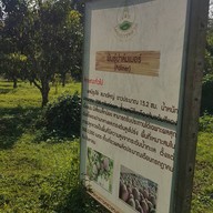โครงการหลวงหนองเขียว