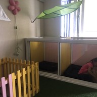 Pet pals & cafe